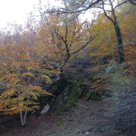 Alojamiento Rural Fuente del Arca  Pradena del Rincon Esterno foto