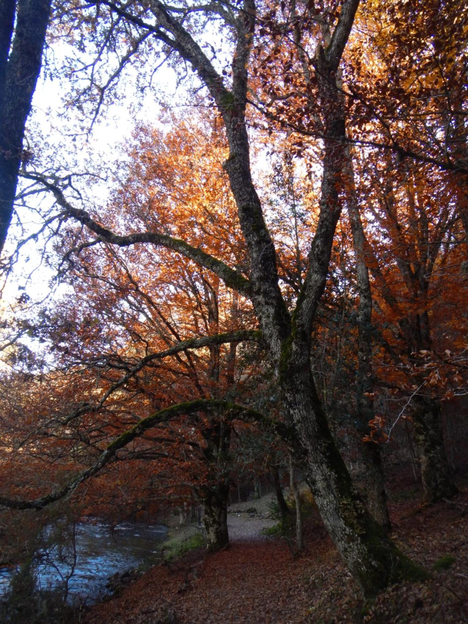 Alojamiento Rural Fuente del Arca  Pradena del Rincon Esterno foto